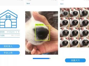 Aplikasi Ini Bisa Cari Anjing Hilang Pakai Hidung
