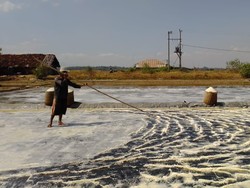 Cegah Anjlok, Harga Garam Bakal Diatur Pemerintah