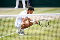 Novak Djokovic Makan Rumput Usai Menang Wimbledon, Ini Dampaknya Bagi Perut