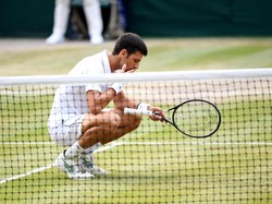 Novak Djokovic Makan Rumput Usai Menang Wimbledon, Ini Dampaknya Bagi Perut