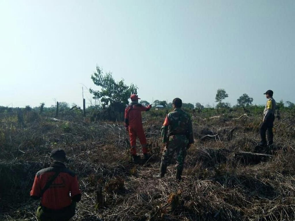 Cegah Karhutla, TNI Patroli di Kawasan Taman Nasional Tesso Nilo Riau Cegah Karhutla, TNI Patroli di Kawasan Taman Nasional Tesso Nilo Riau