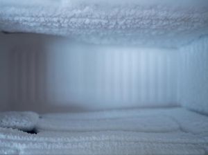 Fakta Lain Ayah Simpan Jasad Bayi di Freezer Ternyata Tak Punya BPJS Fakta Lain Ayah Simpan Jasad Bayi di Freezer Ternyata Tak Punya BPJS