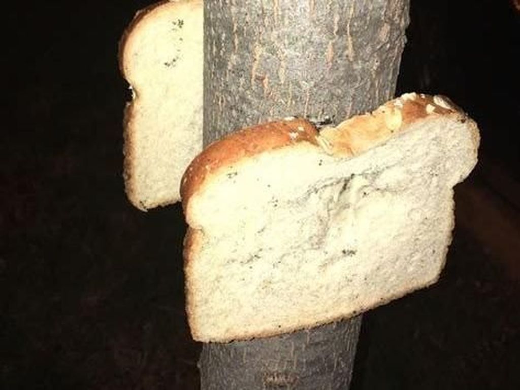Tren Baru yang Aneh di Inggris, Staples Roti ke Pohon Tren Baru yang Aneh di Inggris, Staples Roti ke Pohon
