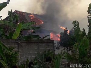 Sebuah Kandang di Bojonegoro Terbakar, 14 Kambing Mati Terpanggang