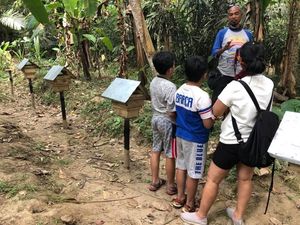 Lebah Hama di Magelang Kini Hasilkan Cuan Menggiurkan