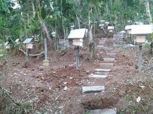 Foto: Dapat Cuan dari Lebah Hama di Magelang