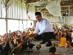 Profil Andi Amran Sulaiman yang Jadi Ketum IKA Unhas Pengganti JK