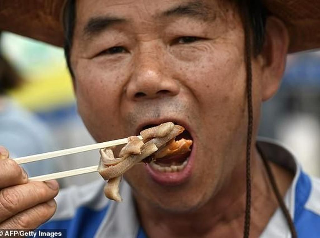 Didemo Pencinta Hewan, Peternak Anjing Ini Malah Sengaja Makan Daging Anjing Didemo Pencinta Hewan, Peternak Anjing Ini Malah Sengaja Makan Daging Anjing
