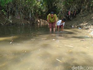 Jeritan Korban Kekeringan di Mojokerto, PDAM Tak Kunjung Datang
