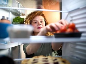 Ternyata Ini Fungsi  Garis Putih Bergelombang di Freezer