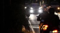 Edan! Pemotor Lawan Arus di Jalur TransJ