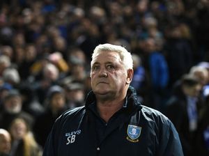 Steve Bruce Jadi Manajer Baru Newcastle, Sheffield Wednesday Menggugat