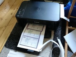 Beli Mobil dengan Uang yang Dicetaknya di Rumah, Wanita Jerman Ditangkap