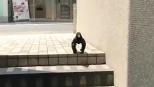 Pose Gagak Ini Sempat Viral, Penjelasannya Mungkin Sederhana