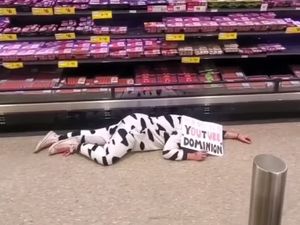 Demi Lindungi Hewan, Wanita Ini Pakai Kostum Sapi Tiduran di Supermarket