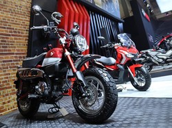 Honda Mulai Jual Si Mungil Monkey di RI, Harganya Rp 65 Juta