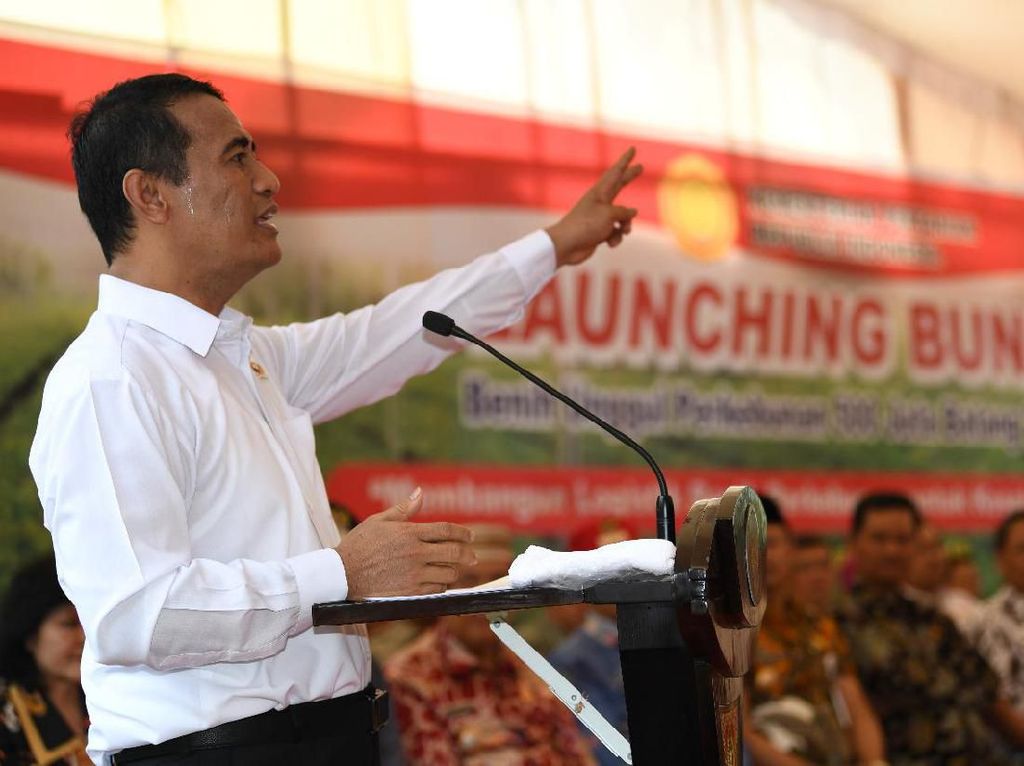 Rilis BUN500, Kementan Targetkan Perkebunan RI Jadi No. 1 Dunia di 2024 Rilis BUN500, Kementan Targetkan Perkebunan RI Jadi No. 1 Dunia di 2024
