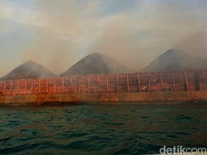 Deretan Manfaat Batu Bara untuk Kehidupan Sehari-hari Lengkap