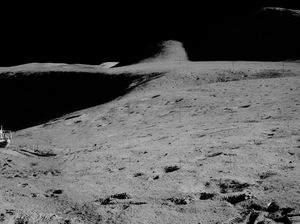 Hewan dari Bumi Ini Diduga Bertahan Hidup di Bulan