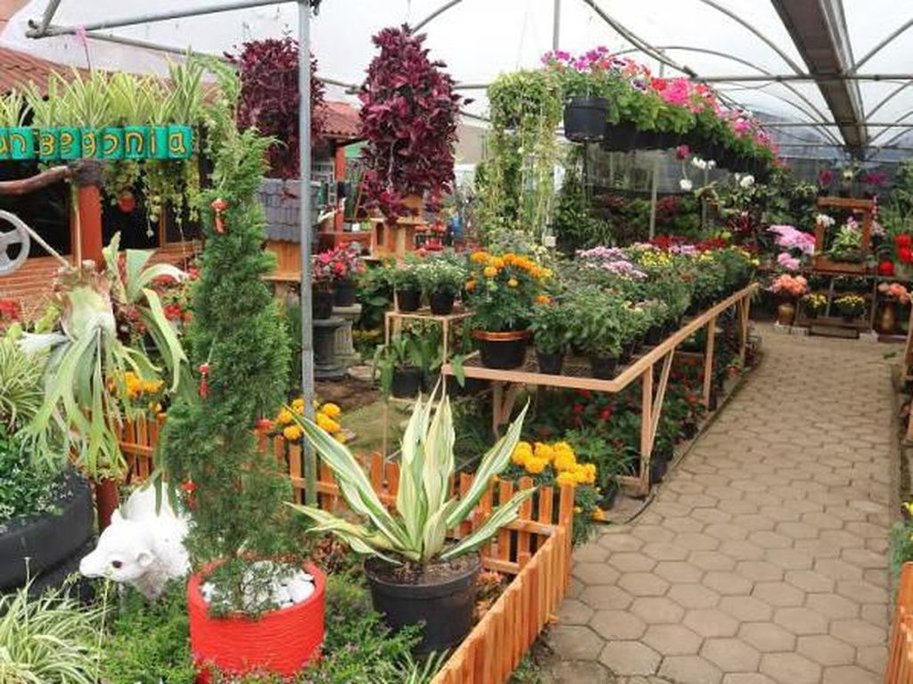 Foto: Rekomendasi Tempat Wisata Asyik di Lembang Foto: Rekomendasi Tempat Wisata Asyik di Lembang