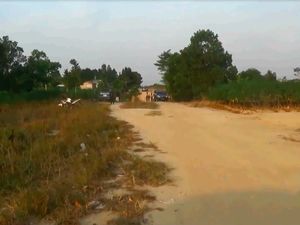 Bentrok di Mesuji Lampung Dipicu Pengelolaan Tanah Hutan Lindung Bentrok di Mesuji Lampung Dipicu Pengelolaan Tanah Hutan Lindung