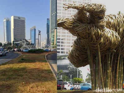Penampakan Bambu Getah Getih Sebelum dan Sesudah Dibongkar