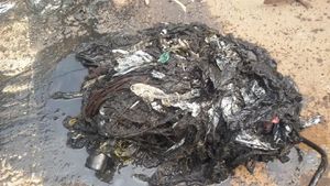 Penampakan Sampah Kondom yang Sumbat Gorong-gorong Mega Kuningan