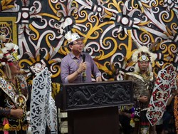 Terima Gelar Kehormatan dari Dayak Kaltim, BTP Diteriaki Ahok Presiden