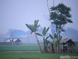 Bandung Raya Sepekan: Munculnya Fenomena Bandung Tiris Bandung Raya Sepekan: Munculnya Fenomena Bandung Tiris