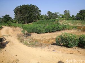 Periksa 29 Saksi Terkait Bentrok di Mesuji, Polisi Belum Tetapkan Tersangka Periksa 29 Saksi Terkait Bentrok di Mesuji, Polisi Belum Tetapkan Tersangka