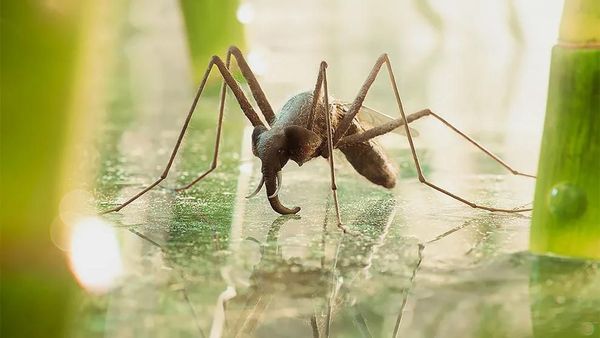 Manipulasi Foto yang Mencengangkan Mata