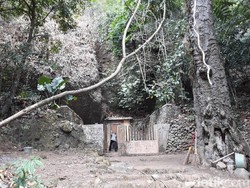 Misteri Mata Air yang Tidak Pernah Kering di Bantul