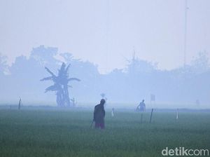 Suhu Dingin di Bandung Tak Terkait dengan Fenomena Aphelion Suhu Dingin di Bandung Tak Terkait dengan Fenomena Aphelion