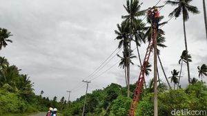 Menengok Perbaikan Listrik di Halmahera Pascagempa