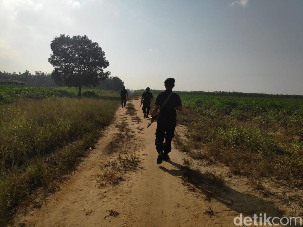 Bawa Senjata Lengkap, Brimob Telusuri Lagi Lokasi Bentrok di Mesuji Bawa Senjata Lengkap, Brimob Telusuri Lagi Lokasi Bentrok di Mesuji
