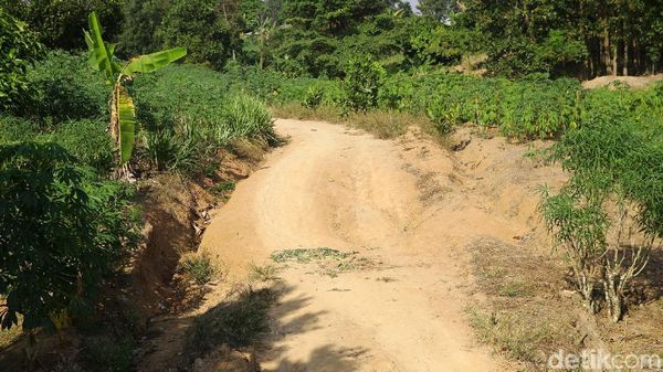 Ini Lokasi Bentrok Antarwarga di Mesuji