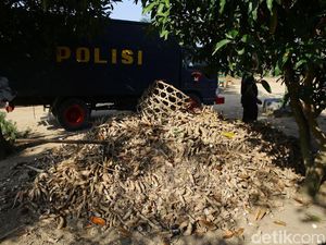 Polisi Kantongi Nama-nama Terduga Pelaku Bentrok di Mesuji Polisi Kantongi Nama-nama Terduga Pelaku Bentrok di Mesuji