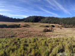 Tak Hanya Ruwat Rambut Gembel, DCF ke-10 Punya 23 Pertunjukan