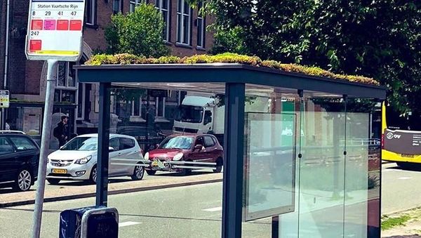 Wow! Atap Halte Bus Ini Disulap Jadi Taman Kecil