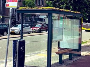 Wow! Atap Halte Bus Ini Disulap Jadi Taman Kecil