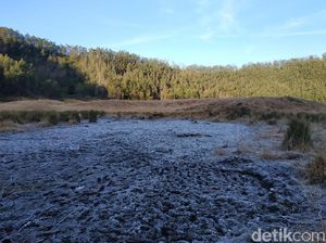 Selain di Dieng, Embun Es di Bukit Pangonan Jauh Lebih Tebal