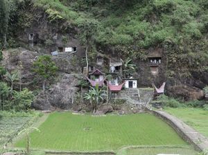 Lemo dan Londa, Dua Kuburan Tebing di Toraja