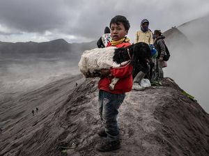 Melihat Ritual Kasada, Larung Sajen di Gunung Bromo
