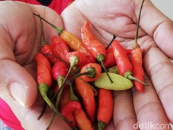 Harga Cabai Rawit di Pasuruan Tembus Rp 76 Ribu Per Kg