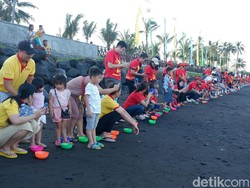 Ritual Fang Sheng, Ribuan Anak Penyu Dilepasliarkan ke Selat Bali