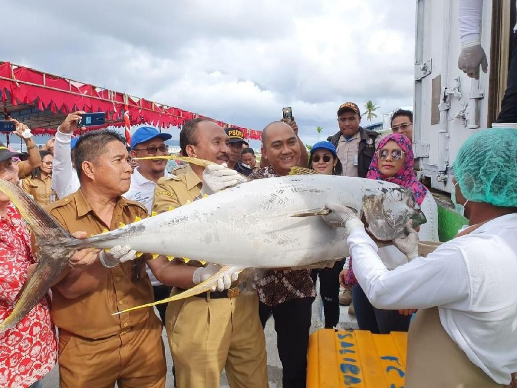 Upaya Kemenhub Optimalkan Tol Laut di Maluku dan Maluku Utara Upaya Kemenhub Optimalkan Tol Laut di Maluku dan Maluku Utara