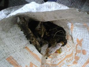 12 Jam Pembersihan Gorong-gorong Kuningan, Petugas Masih Temukan Kondom 12 Jam Pembersihan Gorong-gorong Kuningan, Petugas Masih Temukan Kondom