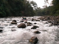 WN Arab Saudi Tewas Terseret Arus 50 Meter saat Rafting di Bali