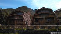 Foto: Liburan ke Gunung Papandayan Yuk!
