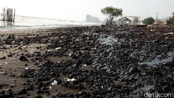 Duh, Tumpahan Minyak Mentah Kotori Pesisir Pantai Karawang